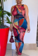 Rose Red Sexy Print Mesh O Neck Pencil Skirt Dresses