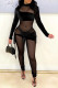 Black Sexy Solid Patchwork Mesh Half A Turtleneck Skinny Jumpsuits