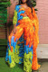 Orange Yellow Fashion Casual Print Slit Long Sleeve Two Pieces