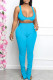 Blue Sexy Solid Patchwork Sleeveless Two Pieces