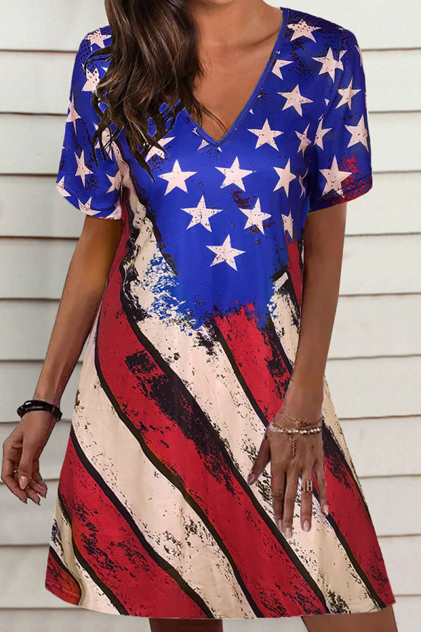 Blue Casual Print Patchwork V Neck Straight Dresses