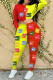 Red Yellow Fashion Casual Print Patchwork O Neck Long Sleeve Two Pieces