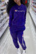 Peacock Blue Fashion Casual Embroidery Basic Hooded Collar Long Sleeve Two Pieces