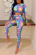 Multicolor Fashion Casual Print Basic O Neck Long Sleeve Two Pieces