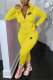 Yellow Fashion Casual Embroidery Basic Hooded Collar Long Sleeve Two Pieces