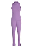 Blue Fashion Casual Solid Patchwork Slit Turtleneck Sleeveless Two Pieces