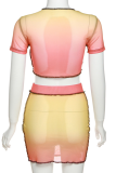 Colour Sexy Gradual Change Mesh O Neck Short Sleeve Two Pieces