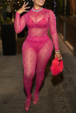 Rose Red Sexy Print See-through Half A Turtleneck Long Sleeve Two Pieces