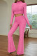 Pink Fashion Casual Solid Patchwork Turtleneck Long Sleeve Two Pieces