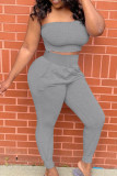 Grey Sexy Casual Solid Backless Strapless Two Pieces