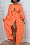 Tangerine Casual Elegant Solid Patchwork Buckle Turndown Collar Shirt Dress Dresses