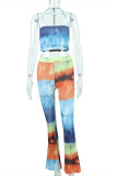 Colour Sexy Casual Print Backless Sleeveless Two Pieces