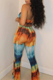 Colour Sexy Casual Print Backless Sleeveless Two Pieces