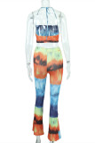 Colour Sexy Casual Print Backless Sleeveless Two Pieces