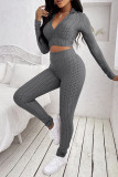 Coffee Casual Sportswear Solid Basic Zipper Collar Long Sleeve Two Pieces