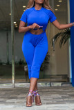 Blue Fashion Casual Solid Hollowed Out O Neck Short Sleeve Two Pieces
