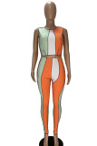 Pink Casual Solid Patchwork O Neck Sleeveless Two Pieces