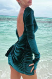 Blue Fashion Sexy Solid Backless O Neck Long Sleeve Dresses