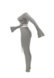 Grey Casual Solid Draw String Off the Shoulder Long Sleeve Two Pieces