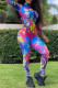 Multicolor Fashion Casual Sportswear Print Patchwork Zipper Collar Long Sleeve Two Pieces