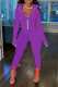 Dark Purple Casual Solid Draw String Turndown Collar Long Sleeve Two Pieces
