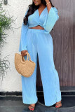 Light Blue Fashion Casual Solid Patchwork V Neck Long Sleeve Two Pieces