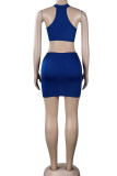Pink Sexy Solid Patchwork See-through Halter Sleeveless Two Pieces