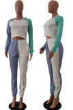 Red Blue Casual Sportswear Solid Patchwork O Neck Long Sleeve Two Pieces