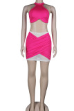 Pink Sexy Solid Patchwork See-through Halter Sleeveless Two Pieces