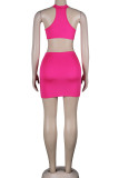 Pink Sexy Solid Patchwork See-through Halter Sleeveless Two Pieces
