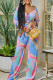 Light Blue Fashion Casual Print Bandage V Neck Long Sleeve Two Pieces