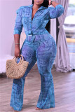 Light Blue Fashion Casual Print Patchwork Turndown Collar Plus Size Two Pieces
