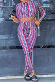 Multicolor Fashion Casual Print Patchwork O Neck Long Sleeve Two Pieces