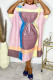Pink Purple Casual Print Patchwork Turtleneck Straight Dresses