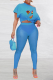Sky Blue Sexy Print Mesh One Shoulder Short Sleeve Two Pieces