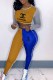 Orange Fashion Casual Print Patchwork Letter O Neck Long Sleeve Two Pieces