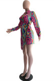 Colour Fashion Casual Print Patchwork Turndown Collar Long Sleeve Dresses
