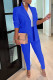 Blue Casual Solid Patchwork Turn-back Collar Long Sleeve Two Pieces