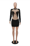 Black Fashion Sexy Embroidery Patchwork See-through Turtleneck Long Sleeve Dresses