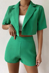 Green Fashion Casual Solid Cardigan Turndown Collar Short Sleeve Two Pieces