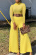 Yellow Sexy Print Solid Patchwork Turtleneck Straight Jumpsuits(Without Belt)
