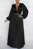Black Sexy Solid Patchwork V Neck Long Sleeve Two Pieces