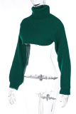 Green Street Solid Patchwork Turtleneck Tops