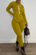 Earth Yellow Fashion Casual Print Basic Turtleneck Long Sleeve Two Pieces