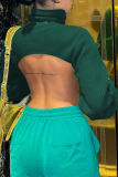 Green Street Solid Patchwork Turtleneck Tops