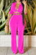 Rose Red Fashion Casual Solid Bandage Turndown Collar Half Sleeve Two Pieces