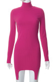 Deep Blue Casual Solid Patchwork Asymmetrical Turtleneck Pencil Skirt Dresses