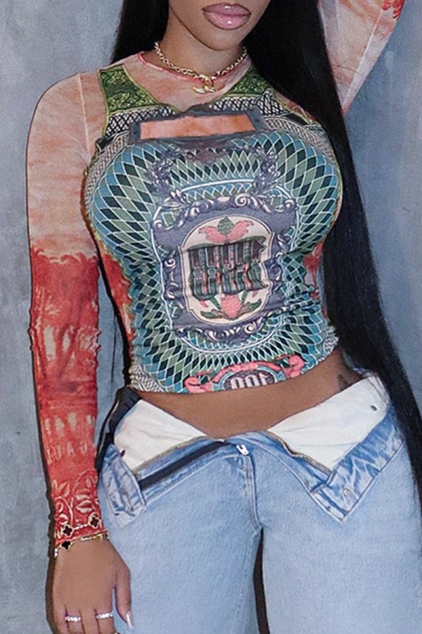 Multicolor Sexy Print Mesh O Neck Tops
