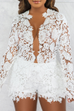 Light Blue Sexy Solid Lace V Neck Long Sleeve Two Pieces