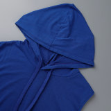 Blue Casual Solid Patchwork Hooded Collar Straight Dresses